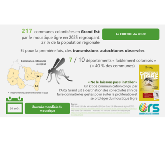 Visuel jour moustique